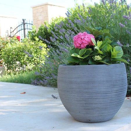 וינקורן Apartments Borghetto מראה חיצוני תמונה