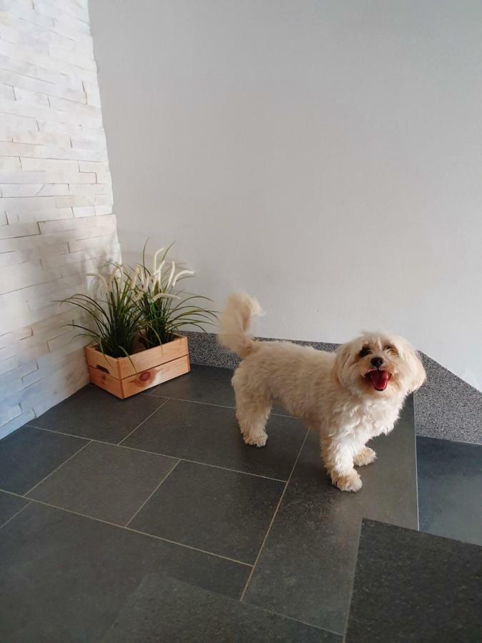 וינקורן Apartments Borghetto מראה חיצוני תמונה
